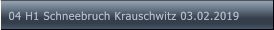 04 H1 Schneebruch Krauschwitz 03.02.2019 04 H1 Schneebruch Krauschwitz 03.02.2019